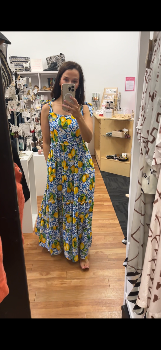 Sophie Slip Maxi Dress